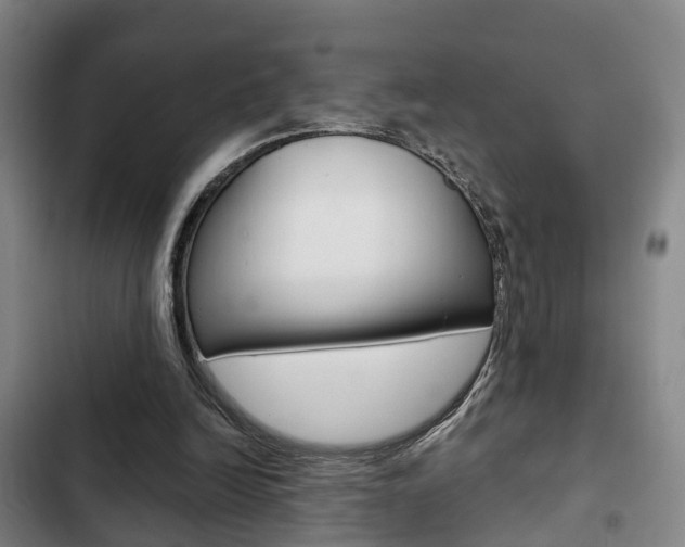 X0000103220246200808280933