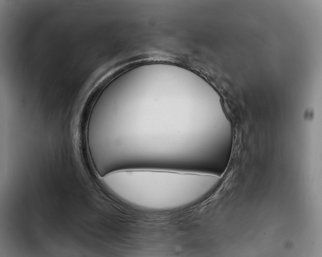 X0000103220247200808280933