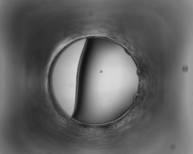 X0000103220248200808280933
