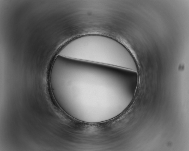 X0000103220249200808280933