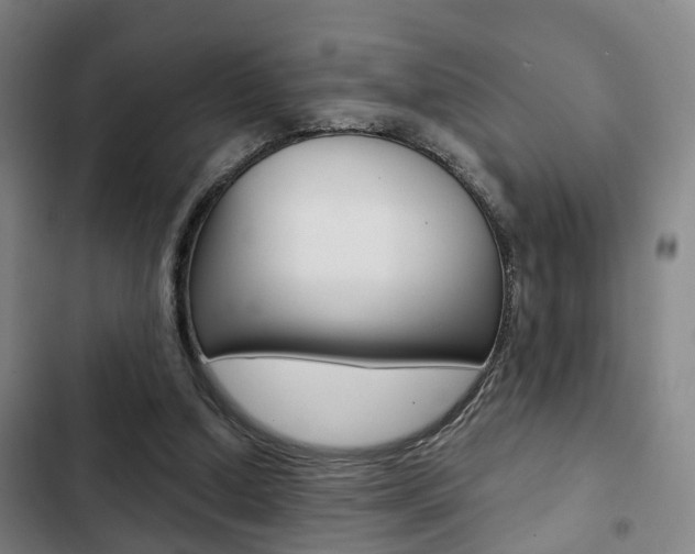 X0000103220250200808280933