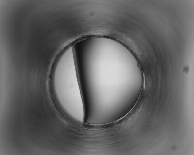 X0000103220252200808280933
