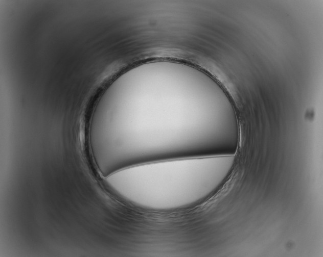 X0000103220253200808280933