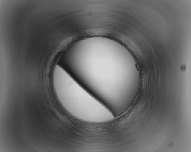 X0000103220254200808280933