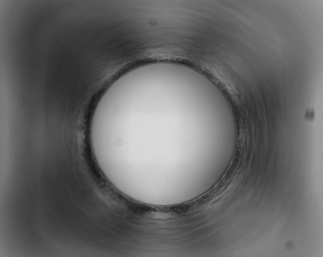 X0000103220255200808280933