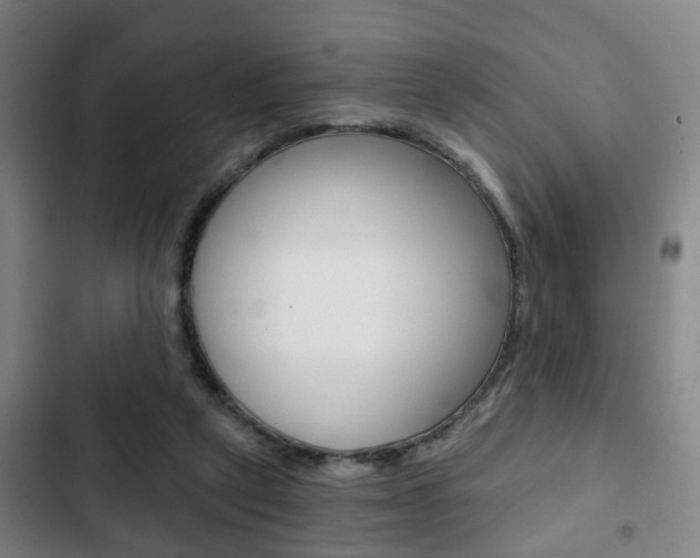 X0000103220257200808280933