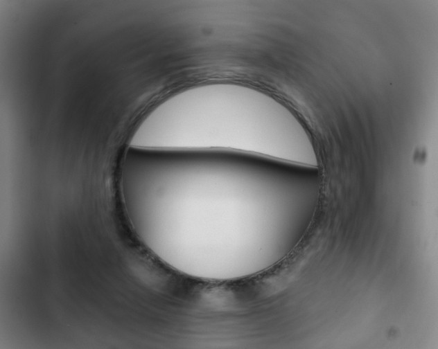 X0000103220258200808280933