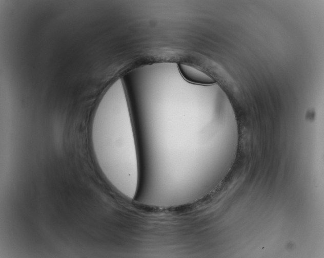 X0000103220259200808280933