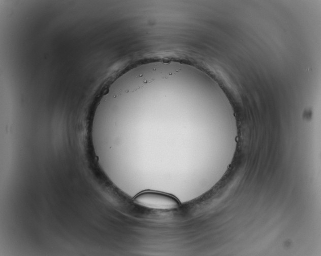 X0000103220260200808280933