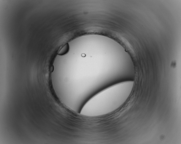 X0000103220261200808280933