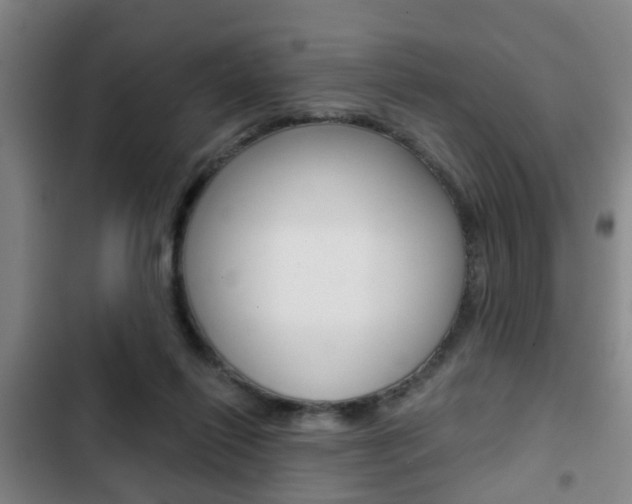 X0000103220262200808280933