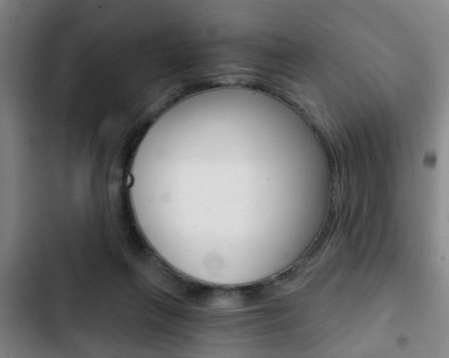 X0000103220263200808280933