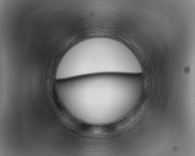X0000103220264200808280933