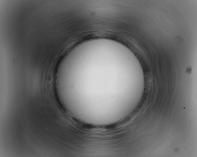 X0000103220266200808280933