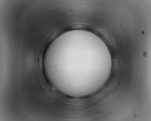 X0000103220267200808280933