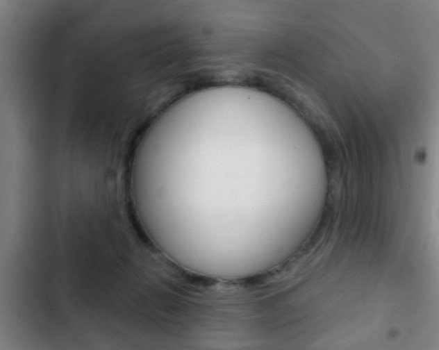 X0000103220270200808280933