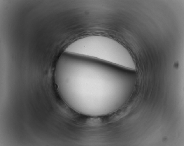 X0000103220271200808280933