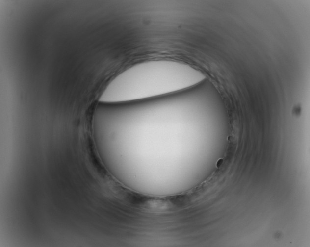 X0000103220272200808280933