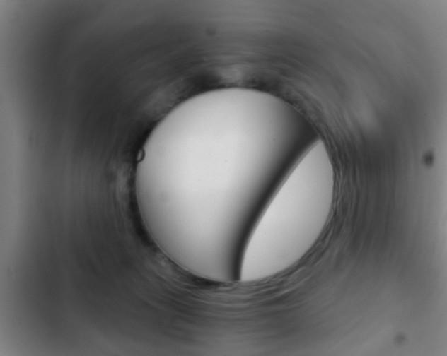 X0000103220275200808280933