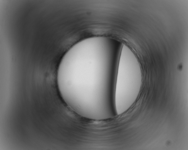 X0000103220277200808280933