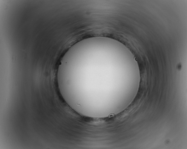 X0000103220278200808280933