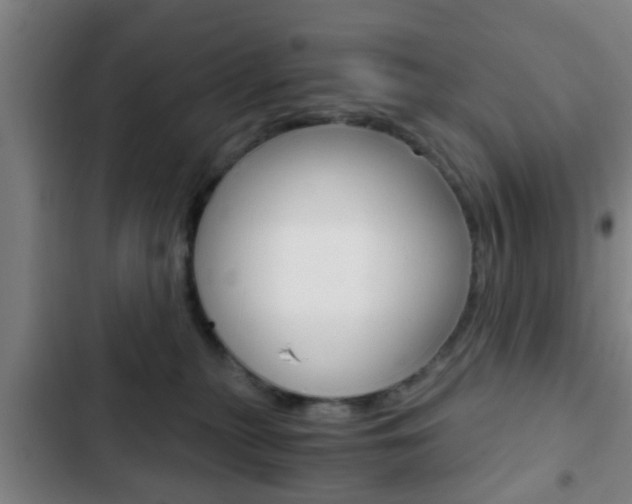 X0000103220279200808280933