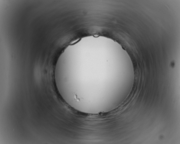 X0000103220280200808280933
