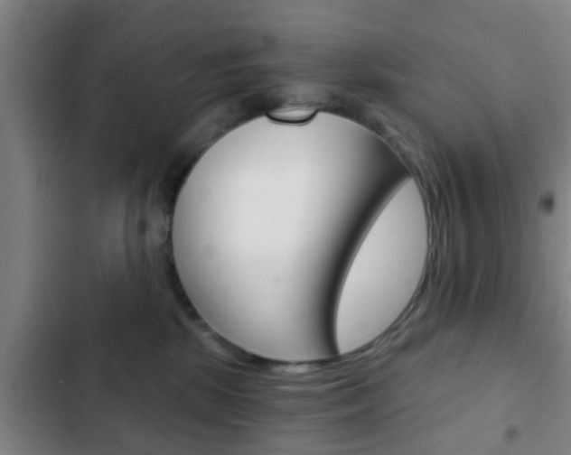 X0000103220281200808280933