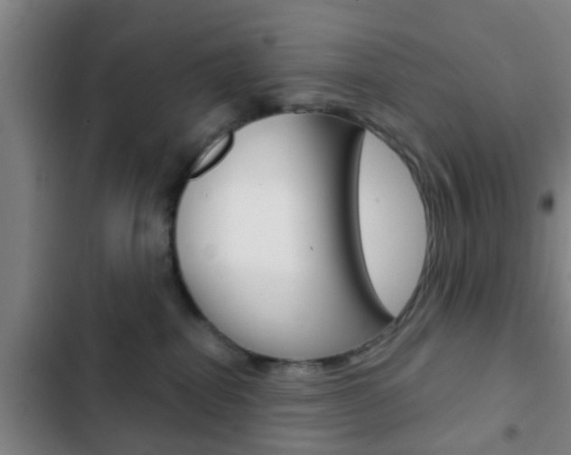 X0000103220282200808280933