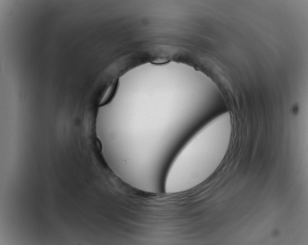 X0000103220283200808280933