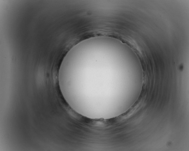 X0000103220285200808280933