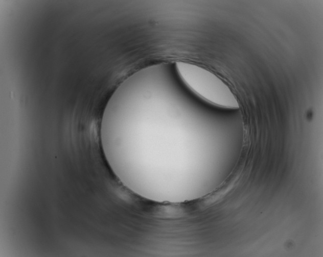 X0000103220286200808280933