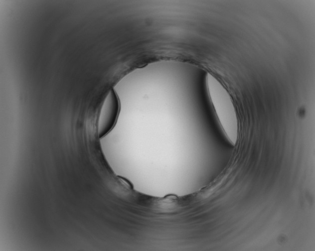 X0000103220287200808280933