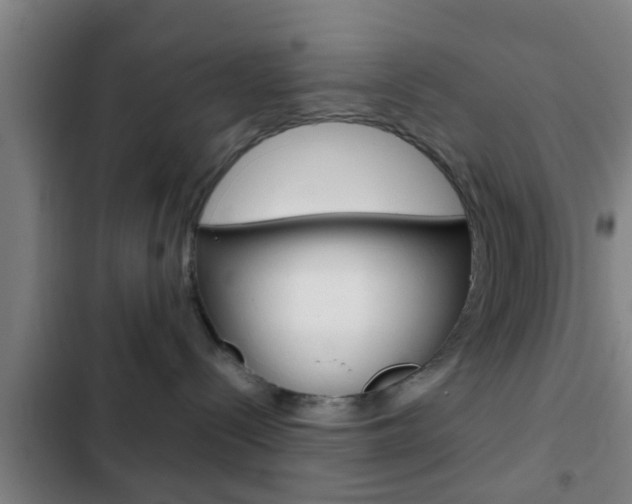 X0000103220288200808280933