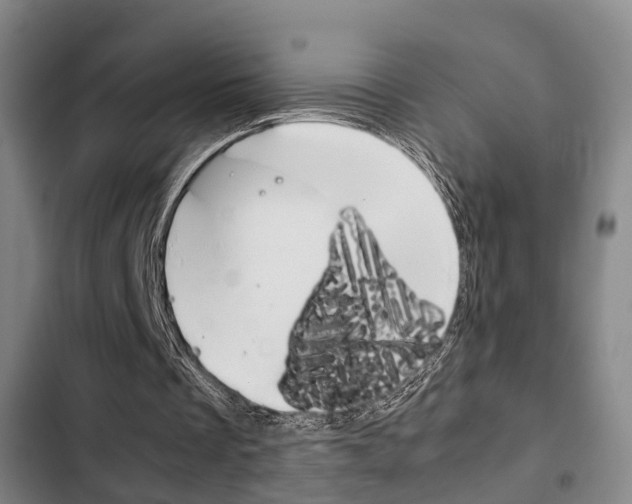 X0000103220289200808280932