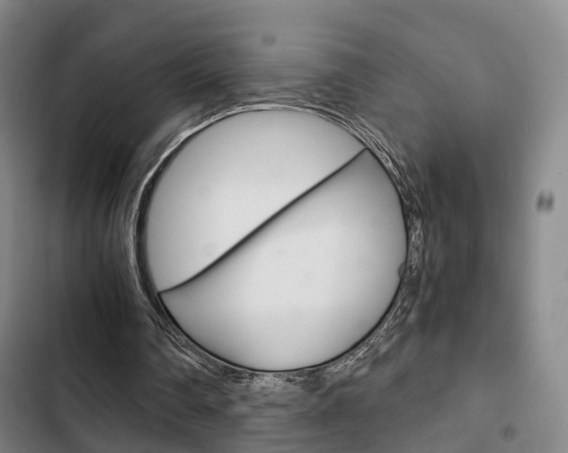X0000103220290200808280932