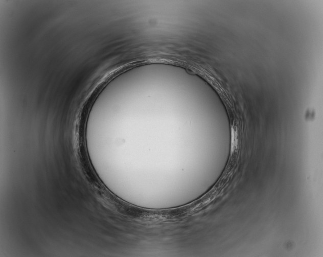 X0000103220291200808280932
