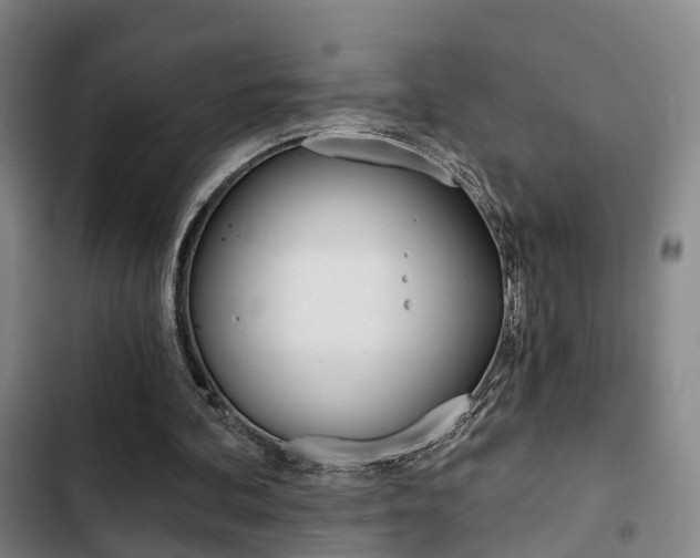 X0000103220292200808280932