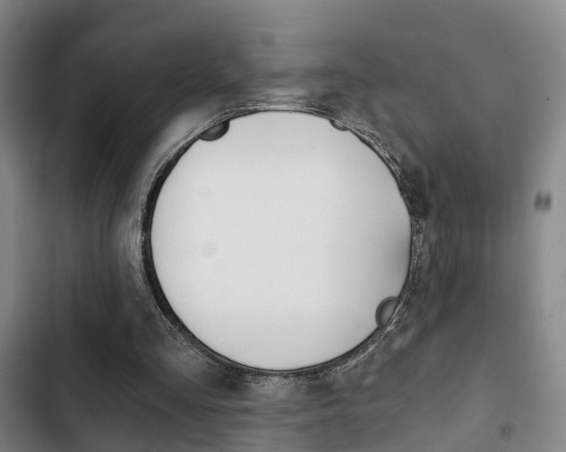 X0000103220293200808280932