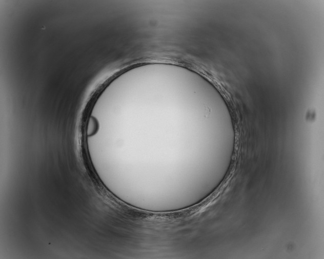 X0000103220294200808280932