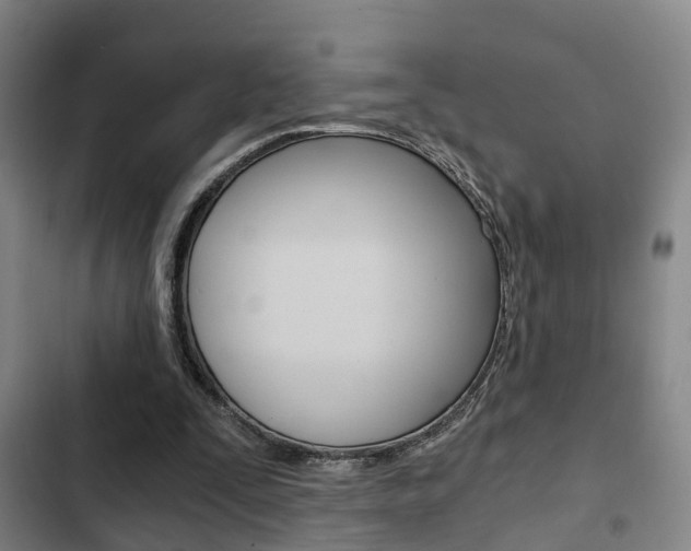 X0000103220295200808280932