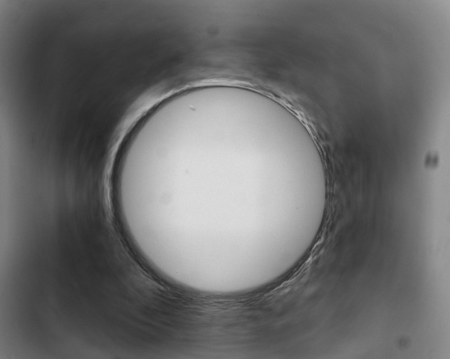 X0000103220296200808280932