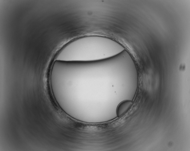 X0000103220298200808280932