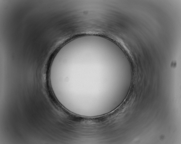 X0000103220299200808280932
