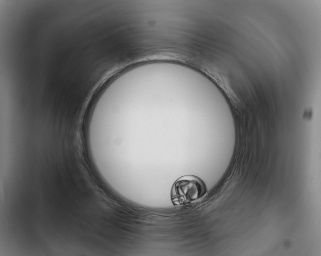 X0000103220300200808280932