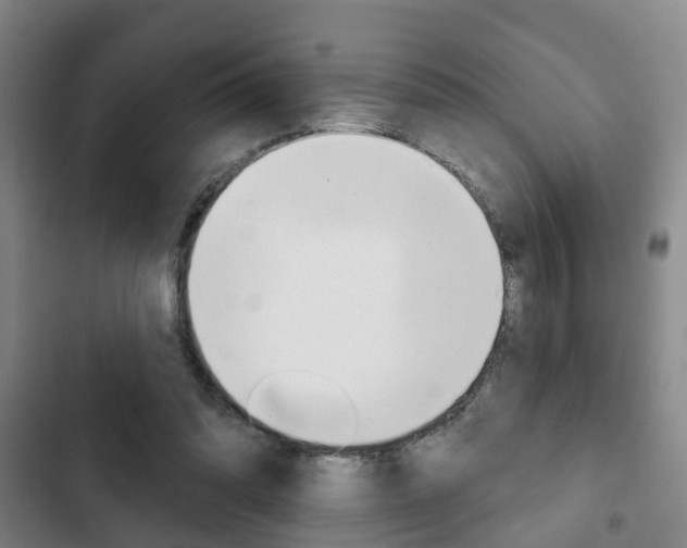 X0000103220302200808280932