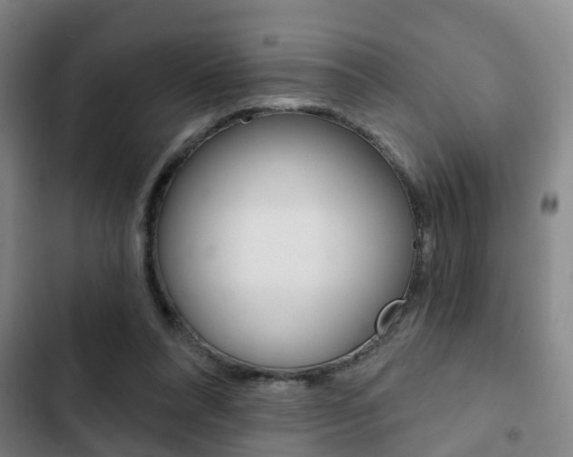 X0000103220304200808280932