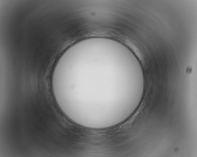 X0000103220305200808280932