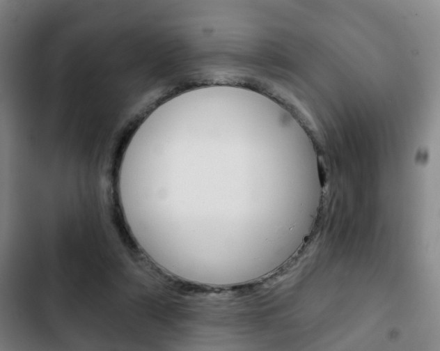 X0000103220306200808280932