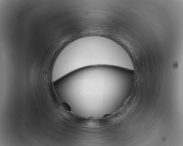 X0000103220308200808280932